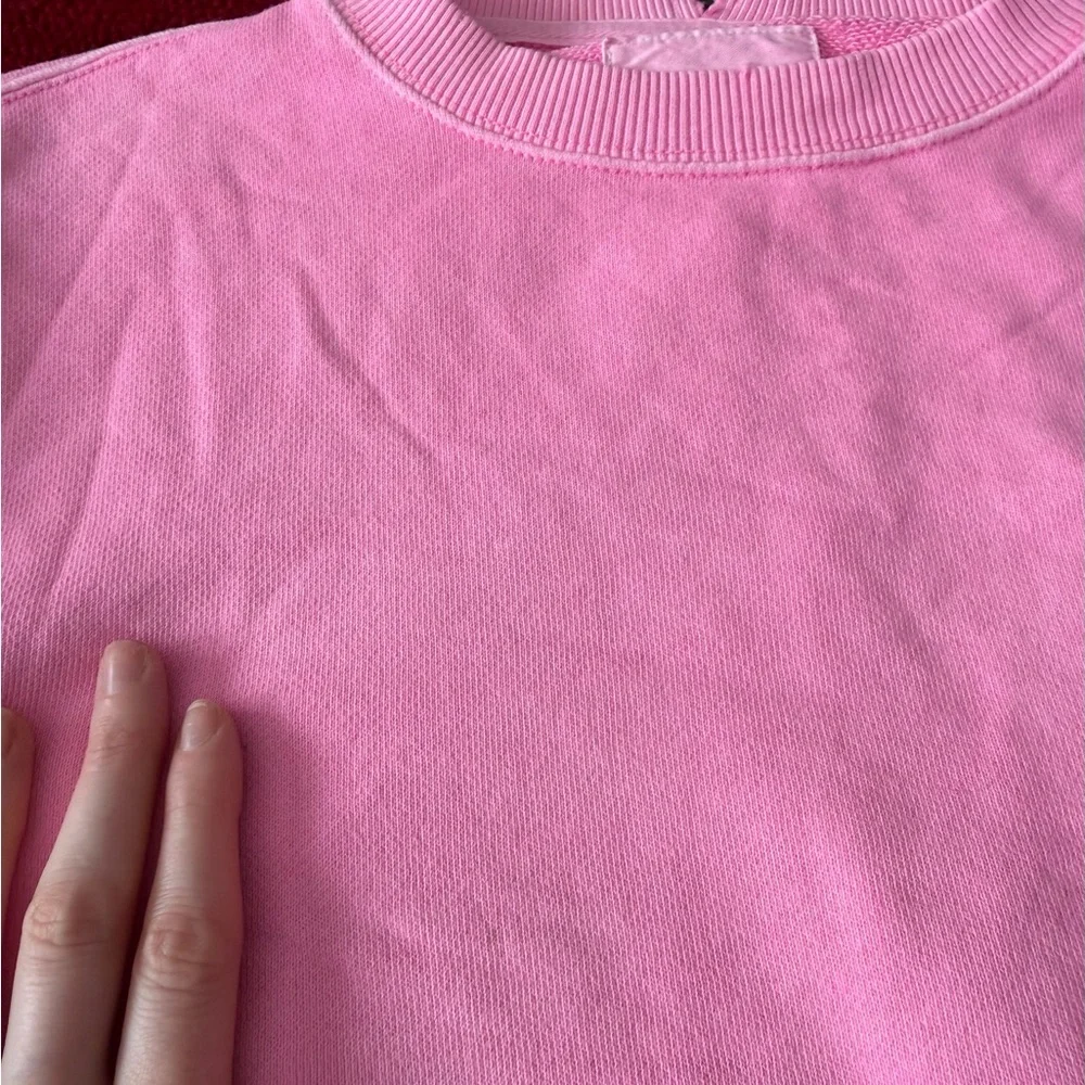 Aerie Down To Earth Crewneck Sweatshirt Oversized Neon Pink Size Small